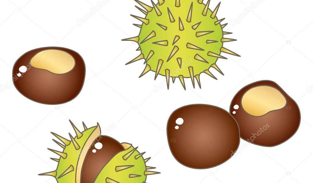 fgfgf - základní škola Žákovská