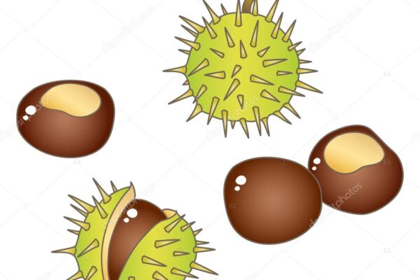 fgfgf - základní škola Žákovská