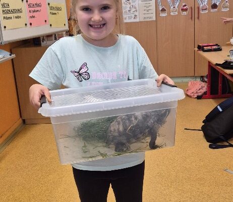 Máme rádi zvířata - základní škola Žákovská