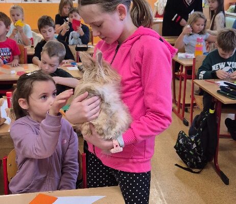 Máme rádi zvířata - základní škola Žákovská