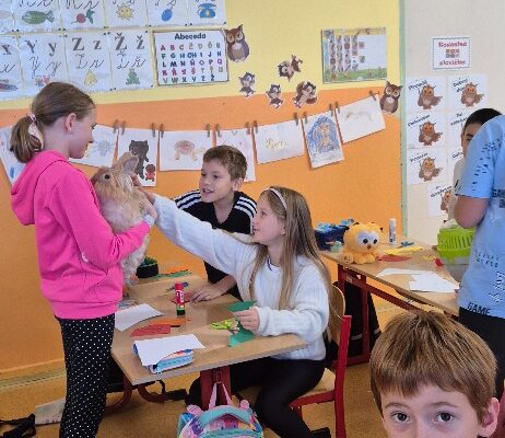 Máme rádi zvířata - základní škola Žákovská