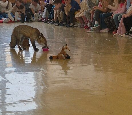 Máme rádi zvířata - základní škola Žákovská