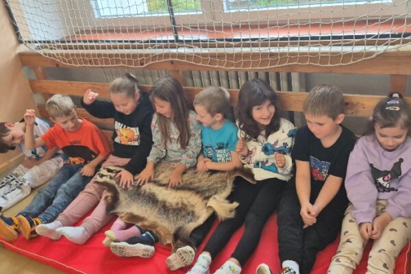 Máme rádi zvířata - základní škola Žákovská
