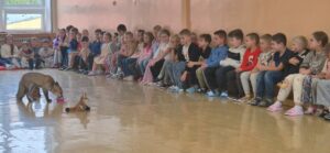 Máme rádi zvířata - základní škola Žákovská