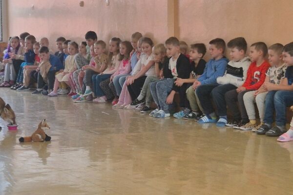 Máme rádi zvířata - základní škola Žákovská