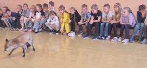 Máme rádi zvířata - základní škola Žákovská