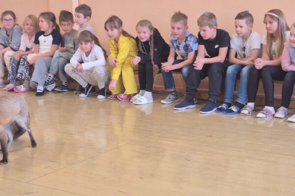 Máme rádi zvířata - základní škola Žákovská