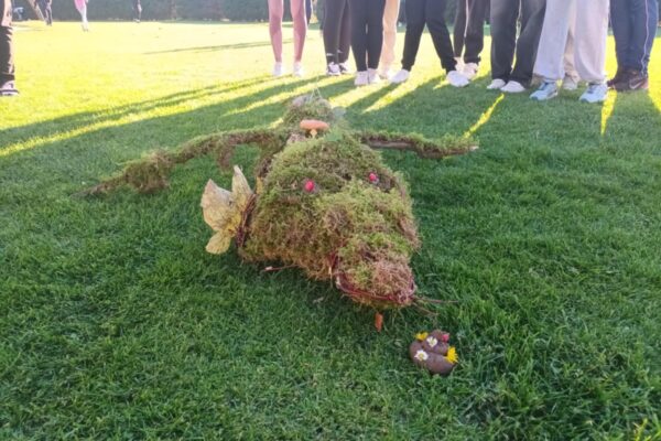 Soustředění DPS Rozmarýnek - základní škola Žákovská