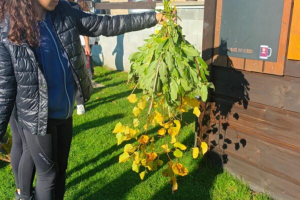 Soustředění DPS Rozmarýnek - základní škola Žákovská