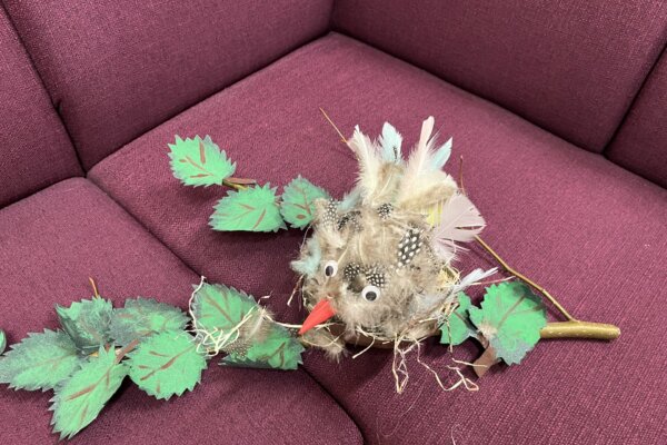 Úspěch našich dětí ve výtvarné soutěži - základní škola Žákovská