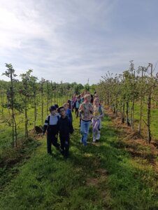 Koulelo se, koulelo, červené jablíčko - základní škola Žákovská