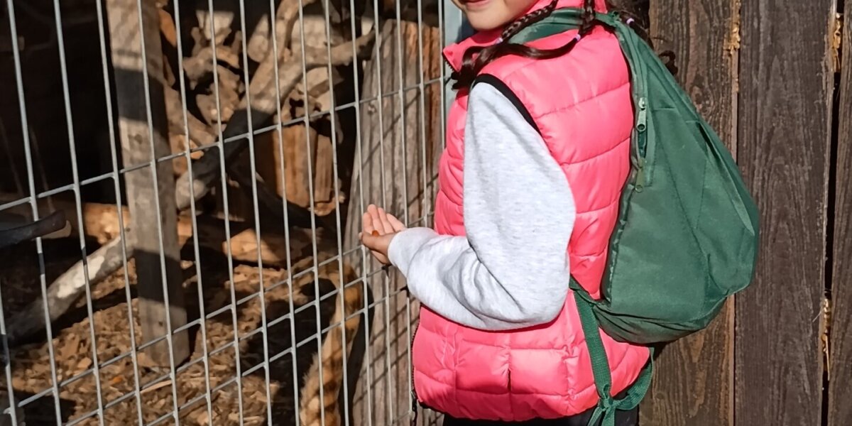 Máme rádi zvířata, protože jsou chlupatá - základní škola Žákovská