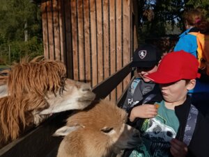 Máme rádi zvířata, protože jsou chlupatá - základní škola Žákovská