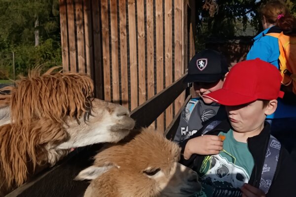 Máme rádi zvířata, protože jsou chlupatá - základní škola Žákovská