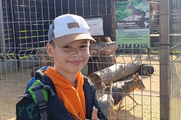 Máme rádi zvířata, protože jsou chlupatá - základní škola Žákovská