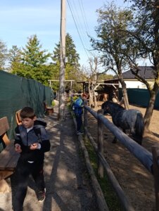 Máme rádi zvířata, protože jsou chlupatá - základní škola Žákovská