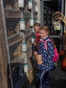 Máme rádi zvířata, protože jsou chlupatá - základní škola Žákovská