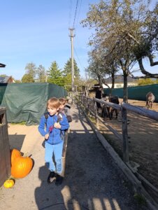 Máme rádi zvířata, protože jsou chlupatá - základní škola Žákovská