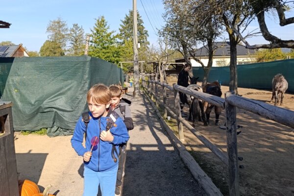 Máme rádi zvířata, protože jsou chlupatá - základní škola Žákovská