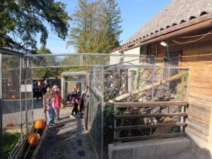 Máme rádi zvířata, protože jsou chlupatá - základní škola Žákovská