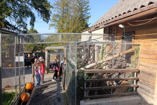 Máme rádi zvířata, protože jsou chlupatá - základní škola Žákovská