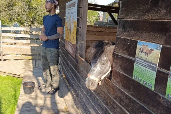 Máme rádi zvířata, protože jsou chlupatá - základní škola Žákovská