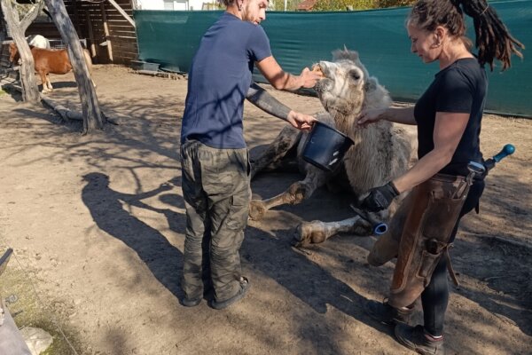 Máme rádi zvířata, protože jsou chlupatá - základní škola Žákovská